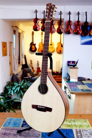 Irish Bouzouki standing on workbench